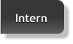 Intern Intern